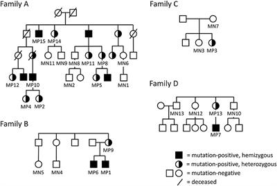 PLS3 Mutations Cause Severe Age and Sex-Related Spinal Pathology